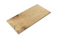 Песчаник RKS SLATE Sandstone Fossil Natural